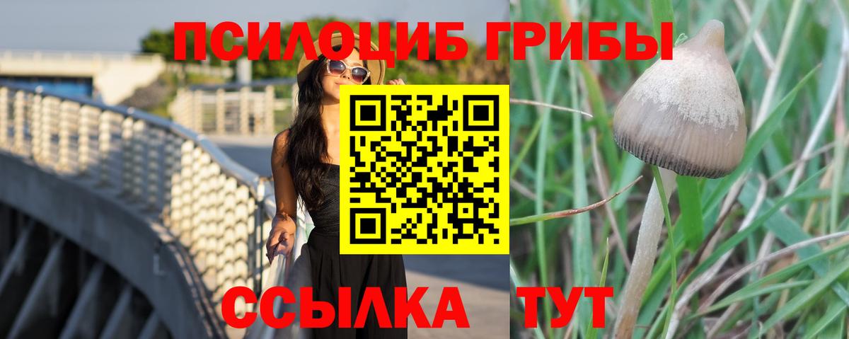 Уварово  Галлюциногенные грибы GOLDEN TEACHER  Вход с VPN 